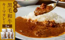 秘密の黒毛和牛キーマカレー5袋【冷凍 カレー レストラン キーマ 辛口 食品 加工食品 人気 おすすめ 広島県 福山市】