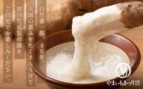 秘伝のお出汁で仕上げた究極の自然薯のとろろ『黄金とろろ』 200g×4パックセット