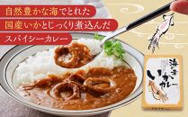 海の幸　いかカレー 3食セット