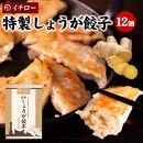 餃子専門店イチロー　味噌だれ餃子２種＆中華点心２種（計４１個）