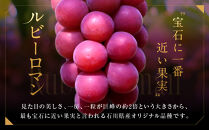 【2026年&nbsp;先行予約】ルビーロマン&nbsp;600g&nbsp;葡萄&nbsp;ぶどう&nbsp;ブドウ&nbsp;高級&nbsp;フルーツ&nbsp;果物&nbsp;&nbsp;石川&nbsp;金沢&nbsp;加賀百万石&nbsp;加賀&nbsp;百万石&nbsp;北陸&nbsp;北陸復興&nbsp;北陸支援