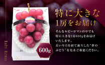 【2026年&nbsp;先行予約】ルビーロマン&nbsp;600g&nbsp;葡萄&nbsp;ぶどう&nbsp;ブドウ&nbsp;高級&nbsp;フルーツ&nbsp;果物&nbsp;&nbsp;石川&nbsp;金沢&nbsp;加賀百万石&nbsp;加賀&nbsp;百万石&nbsp;北陸&nbsp;北陸復興&nbsp;北陸支援