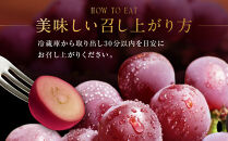 【2026年&nbsp;先行予約】ルビーロマン&nbsp;600g&nbsp;葡萄&nbsp;ぶどう&nbsp;ブドウ&nbsp;高級&nbsp;フルーツ&nbsp;果物&nbsp;&nbsp;石川&nbsp;金沢&nbsp;加賀百万石&nbsp;加賀&nbsp;百万石&nbsp;北陸&nbsp;北陸復興&nbsp;北陸支援