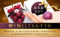 【2026年&nbsp;先行予約】ルビーロマン&nbsp;600g&nbsp;葡萄&nbsp;ぶどう&nbsp;ブドウ&nbsp;高級&nbsp;フルーツ&nbsp;果物&nbsp;&nbsp;石川&nbsp;金沢&nbsp;加賀百万石&nbsp;加賀&nbsp;百万石&nbsp;北陸&nbsp;北陸復興&nbsp;北陸支援