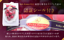 【2026年&nbsp;先行予約】ルビーロマン&nbsp;600g&nbsp;葡萄&nbsp;ぶどう&nbsp;ブドウ&nbsp;高級&nbsp;フルーツ&nbsp;果物&nbsp;&nbsp;石川&nbsp;金沢&nbsp;加賀百万石&nbsp;加賀&nbsp;百万石&nbsp;北陸&nbsp;北陸復興&nbsp;北陸支援