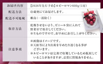 【2026年&nbsp;先行予約】ルビーロマン&nbsp;600g&nbsp;葡萄&nbsp;ぶどう&nbsp;ブドウ&nbsp;高級&nbsp;フルーツ&nbsp;果物&nbsp;&nbsp;石川&nbsp;金沢&nbsp;加賀百万石&nbsp;加賀&nbsp;百万石&nbsp;北陸&nbsp;北陸復興&nbsp;北陸支援