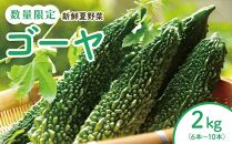 【先行予約】結いの街　新鮮夏野菜野菜！ゴーヤ