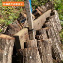 石川県産原木椎茸ホダ木2本（家庭菜園にオススメのハーフサイズ約40cm！）