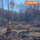 石川県産原木椎茸ホダ木2本（家庭菜園にオススメのハーフサイズ約40cm！）