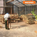 石川県産原木椎茸ホダ木2本（家庭菜園にオススメのハーフサイズ約40cm！）