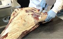 北海道 標茶町産 エゾ 鹿肉 骨付きかた肉 約2kg