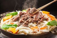 ラム肉 味付け ジンギスカン500g×2パック【 肉 にく 羊肉 バーベキュー 味付け ジンギスカン キャンプ BBQ グルメ ヘルシー 標茶町 北海道 】