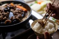 ラム肉 味付け ジンギスカン500g×2パック【 肉 にく 羊肉 バーベキュー 味付け ジンギスカン キャンプ BBQ グルメ ヘルシー 標茶町 北海道 】