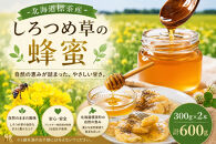 ＜北海道標茶産＞しろつめ草の蜂蜜　300g×2本　計600g【&nbsp;はちみつ&nbsp;しろつめ草&nbsp;蜂蜜&nbsp;天然&nbsp;甘味料&nbsp;国産&nbsp;標茶町&nbsp;北海道&nbsp;】