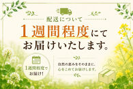 ＜北海道標茶産＞しろつめ草の蜂蜜　300g×2本　計600g【&nbsp;はちみつ&nbsp;しろつめ草&nbsp;蜂蜜&nbsp;天然&nbsp;甘味料&nbsp;国産&nbsp;標茶町&nbsp;北海道&nbsp;】