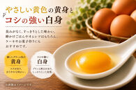 【ポロニ養鶏場】有精卵&nbsp;計30個（10個×3パック）【&nbsp;たまご&nbsp;ポロニ養鶏場&nbsp;デザート&nbsp;ケーキ&nbsp;お菓子&nbsp;標茶町&nbsp;北海道&nbsp;】