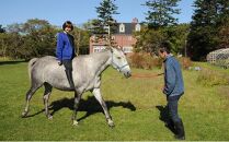 【ヘイゼルグラウスマナー】90分乗馬体験チケット1名様分（アドベンチャーコース）｜チケット 体験 乗馬 乗馬体験 北海道 標茶町 ヘイゼルグラウス 自然 アウトドア スポーツ レジャー リラックス アクティビティ 