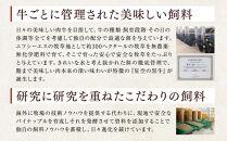 北海道標茶町 星空の黒牛 くちどけフレーク 180g×2袋入 山わさび 80g