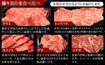 ＜期間限定・ソーセージ1袋付（お試し品）＞北海道産星空の黒牛&nbsp;厳選5種BBQセット1kg【&nbsp;肉&nbsp;にく&nbsp;ニク&nbsp;牛肉&nbsp;牛肉赤身&nbsp;赤身&nbsp;牛肉セット&nbsp;バーベキュー&nbsp;冷凍牛肉&nbsp;贅沢牛肉&nbsp;国産牛肉&nbsp;北海道産牛肉&nbsp;道産牛肉&nbsp;簡単&nbsp;お手軽&nbsp;特製牛肉&nbsp;標茶町&nbsp;北海道&nbsp;】