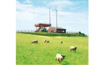 北海道産 しべちゃサフォーク（羊肉）生ラム プレミアムセット400g （ヒレ・リブロース・カルビ・モモ各100g）