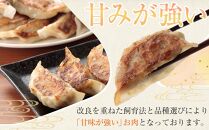 ひかり麦豚　ちょっと大きな 餃子 42個 セット