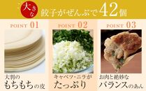 ひかり麦豚　ちょっと大きな 餃子 42個 セット