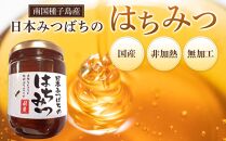 ≪数量限定≫南国種子島産!日本みつばちのはちみつ(300g)[ハチミツ はちみつ 蜂蜜 垂れ蜜 百花蜜 非加熱 無加工 ミツバチ 蜜蜂 瓶 調味料 お菓子 お菓子作り 料理 スイーツ 種子島産 鹿児島県産 国産 鹿児島県 種子島 中種子町 ふるさと納税 送料無料 BN01]