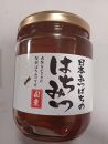 ≪数量限定≫南国種子島産！日本みつばちのはちみつ(300g)【ハチミツ はちみつ 蜂蜜 垂れ蜜 百花蜜 非加熱 無加工 ミツバチ 蜜蜂 瓶 調味料 お菓子 お菓子作り 料理 スイーツ 種子島産 鹿児島県産 国産 鹿児島県 種子島 中種子町 ふるさと納税 送料無料 BN01】