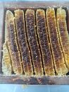 ≪数量限定≫南国種子島産！日本みつばちのはちみつ(300g)【ハチミツ はちみつ 蜂蜜 垂れ蜜 百花蜜 非加熱 無加工 ミツバチ 蜜蜂 瓶 調味料 お菓子 お菓子作り 料理 スイーツ 種子島産 鹿児島県産 国産 鹿児島県 種子島 中種子町 ふるさと納税 送料無料 BN01】