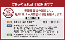 【定期便】忙しいあなたに！簡単調理定期便A【 餃子 グラタン ドリア ピザ イタリアンセット スペアリブ 時短料理 セット 定期便 食品 グルメ お取り寄せ お取り寄せグルメ 人気 おすすめ 送料無料 八雲町 北海道 】