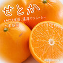 紀州有田産せとか約5kg&nbsp;［ご家庭用］とろける食感！ジューシー柑橘［2027年2月下旬以降発送］［先行予約］［UT90w］