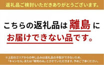 【定期便・4本×6か月連続お届け】West&nbsp;Coast&nbsp;Brewing&nbsp;クラフトビール（500mL缶）お楽しみ4本セット【お酒・地ビール・酒】【配達不可：離島】