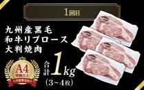 牛肉サンサンセット【定期便全2回】