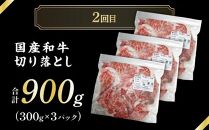 牛肉サンサンセット【定期便全2回】