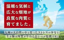 牛肉サンサンセット【定期便全2回】