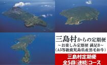 【定期便/全5回-5カ月連続お届け】三島村からのお届け　お楽しみ定期便-満足B-