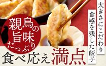 親どり専門店が作る親鳥餃子（50個×2セット）