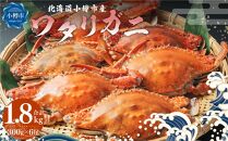 北海道 小樽市産 ワタリガニ 1.8kg (300g×6尾) 蟹 かに ワタリ蟹