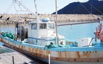 ＜定期便全4回＞3か月に1回お届け！1年続けて鮮魚を楽しめます！旬の地魚詰め合わせ 2kg以上定期便