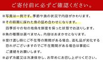 ＜定期便全4回＞3か月に1回お届け！1年続けて鮮魚を楽しめます！旬の地魚詰め合わせ 2kg以上定期便