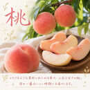 【2・7・9月&nbsp;全3回】紀州和歌山産旬のフルーツセット（いちご・桃・ピオーネ）【UT95】