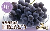 【6・7・9月 全3回】紀州和歌山産旬のフルーツセット（スイカ・バレンシア・巨峰）【UT94】