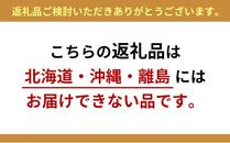 クッション付きベンチチェスト1人掛け　イエロー【配送不可：北海道・沖縄・離島】