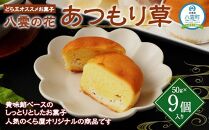 【ギフト用】どら王オススメお菓子 八雲の花 あつもり草 9個入 【 和菓子 菓子 おかし  詰め合わせ 食品 人気 おすすめ グルメ お取り寄せ 送料無料   】