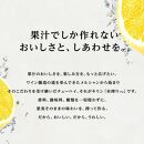 キリン&nbsp;本搾りチューハイ&nbsp;レモン&nbsp;500ml×24本　【お酒&nbsp;アルコール&nbsp;アルコール飲料&nbsp;晩酌&nbsp;家飲み&nbsp;宅飲み&nbsp;飲み会&nbsp;集まり&nbsp;バーベキュー&nbsp;BBQ&nbsp;イベント&nbsp;飲み物&nbsp;柑橘系&nbsp;】&nbsp;●