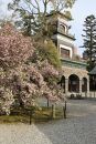 兼六園菊桜染　天女の羽衣加賀友禅ショール