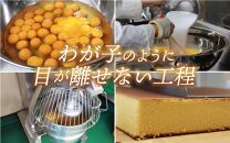 福地鶏の卵を使った 贅沢カステラ プレーン・ざらめ入り 2種×4個 （8個入） / 高級 お菓子 和菓子 洋菓子 スイーツ しっとり たまご 福地鶏 ギフト 贈答 おすすめ 福井県 あわら市