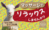 沖縄旅行の疲れを癒す、至極のマッサージ体験60分（1名様）｜沖縄　那覇市　マッサージ 旅行 宿泊 チケット 人気 リラックス 癒し スパ リゾート