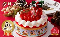 【先行予約】【2024年12月23日お届け】 クリスマスショートケーキ 5号サイズ_04255  【 クリスマス ケーキ 菓子 お菓子 おかし スイーツ デザート 洋菓子 旭川 北海道 送料無料 おすすめ 人気 食品 】