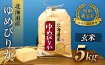 令和6年産【特別栽培米 JGAP認証農場】北海道産ゆめぴりか玄米 (5kg)